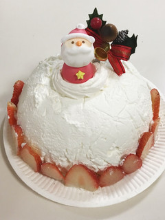 クリスマスのドームケーキ☆-レシピのメイン写真