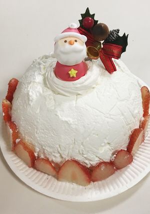 クリスマスのドームケーキ☆-レシピのメイン写真