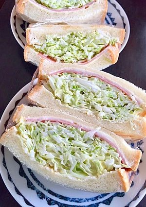 キャベツたっぷり♡栄養満点サンドイッチ-レシピのメイン写真
