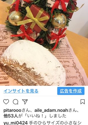 クリスマスシュトーレン-レシピのメイン写真