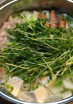 豆苗のササっと鍋-レシピのメイン写真