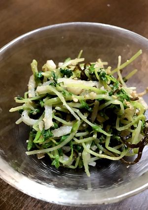 味見が止まらない！大根と豆苗のナムル-レシピのメイン写真