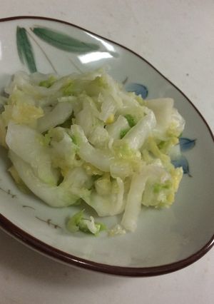 白菜の大量消費に！簡単な浅漬-レシピのメイン写真