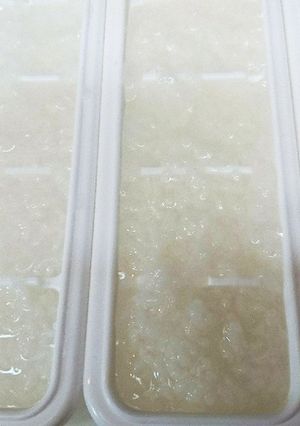 ごはんから作る5倍粥-レシピのメイン写真