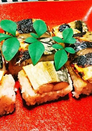 焼きさば寿司-レシピのメイン写真