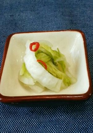 シンプルな白菜漬け-レシピのメイン写真