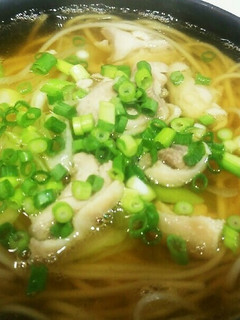 鶏肉と長ネギの煮麺 万能ネギを添えて-レシピのメイン写真
