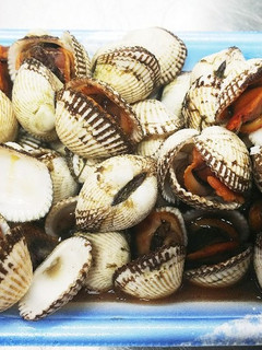 赤貝(サルボウガイ)の煮付け-レシピのメイン写真