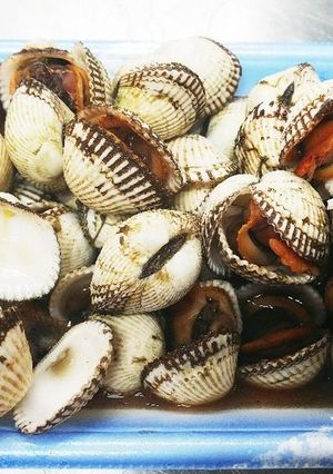赤貝(サルボウガイ)の煮付け-レシピのメイン写真
