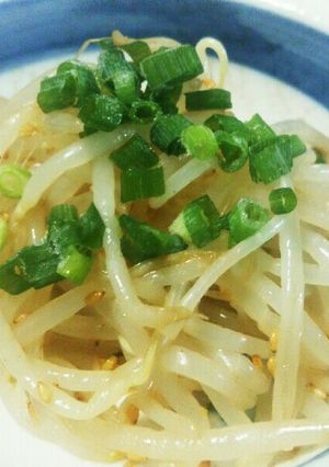 モヤシの和風ナムル♪　めんつゆで簡単！-レシピのメイン写真