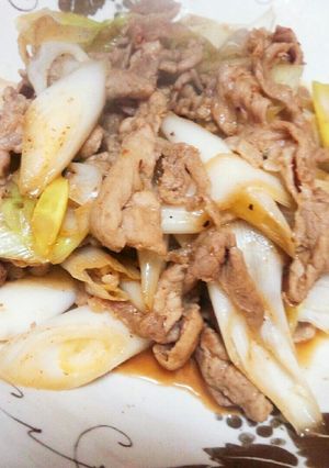 シンプルが勝ち。豚肉とネギ炒め-レシピのメイン写真