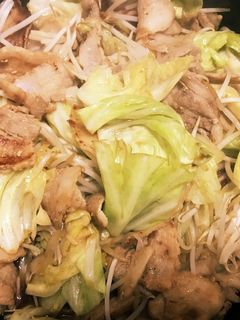 キャベツともやしのオイスター炒め-レシピのメイン写真