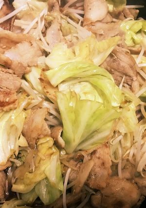 キャベツともやしのオイスター炒め-レシピのメイン写真