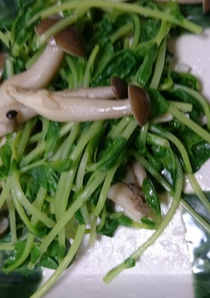 豆苗とシメジのささっと炒め-レシピのメイン写真