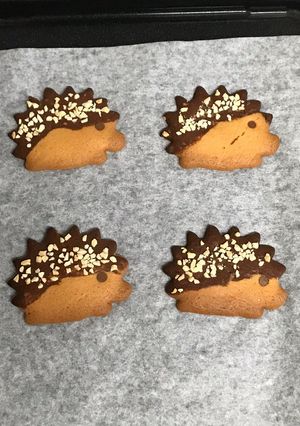 HMでハリネズミクッキー-レシピのメイン写真