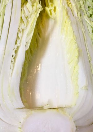 白菜の葉の食べる順番　覚え書き-レシピのメイン写真