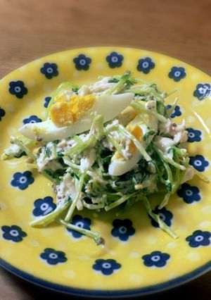 豆苗で簡単マスタードサラダ-レシピのメイン写真