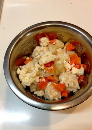 カロリー知りたい！老犬用 160kcal-レシピのメイン写真