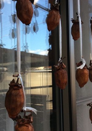 とっても楽しみな干し柿！-レシピのメイン写真