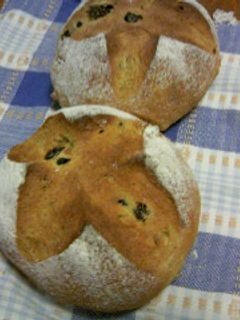 みかんパン-レシピのメイン写真