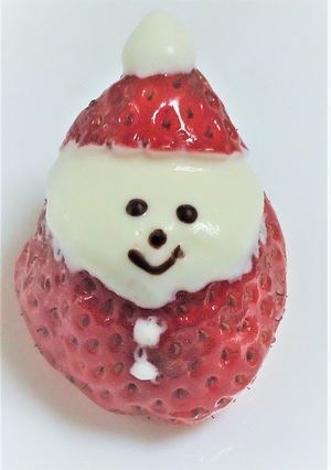 低糖質いちごサンタ-レシピのメイン写真