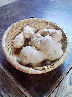 しょうがの保存法-レシピのメイン写真