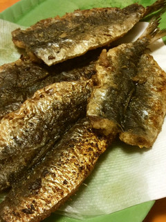 フライパンに大さじ1の油で鰯の磯辺揚げ-レシピのメイン写真