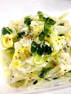 白菜のマヨチーサラダ-レシピのメイン写真