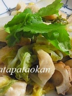 ほっこり♪麩と白菜の煮物-レシピのメイン写真