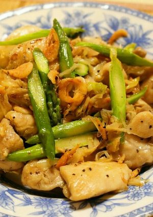 桜えびの旨味の効いた鶏肉と長ネギの塩炒め-レシピのメイン写真
