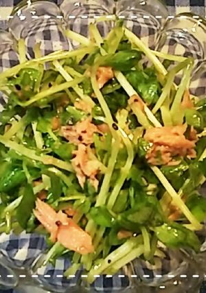 ボールだけで簡単！豆苗とツナのサラダ-レシピのメイン写真