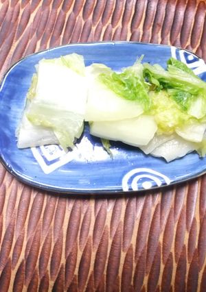 簡易な白菜のぬか漬け-レシピのメイン写真