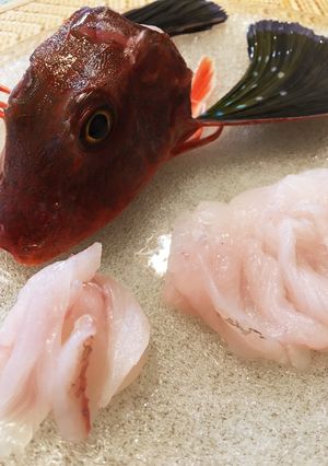鳥羽沖 ほうぼうの刺身-レシピのメイン写真