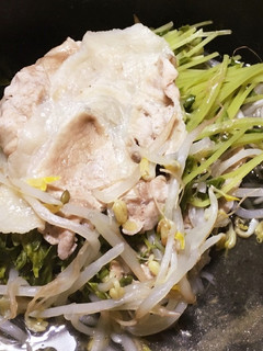 ダイエットにも!豆苗の豚肉蒸し-レシピのメイン写真