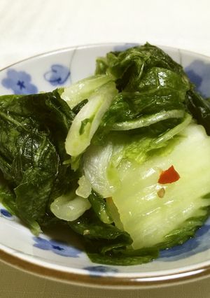 梅昆布茶のアッサリ白菜漬-レシピのメイン写真