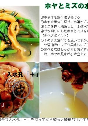 ミズとホヤの水物-レシピのメイン写真