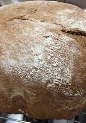 HBココアチョコチップ食パン-レシピのメイン写真