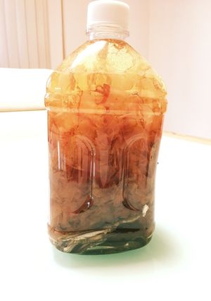 基本のお出汁〜簡単！水出しで-レシピのメイン写真
