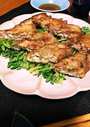 春巻の皮で*ドデカ棒餃子-レシピのメイン写真