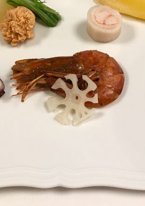 お節　8　雪輪蓮根-レシピのメイン写真