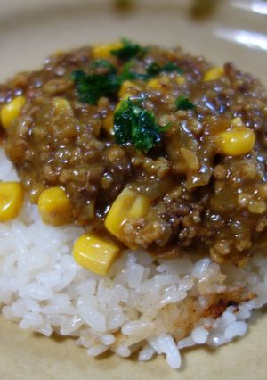 フライパンでドライカレー-レシピのメイン写真