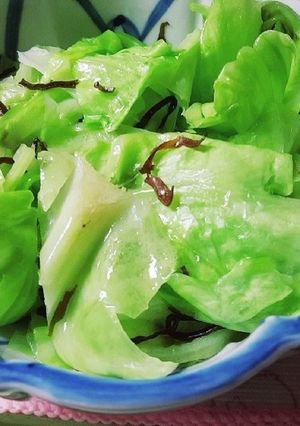 お手軽塩キャベツ-レシピのメイン写真
