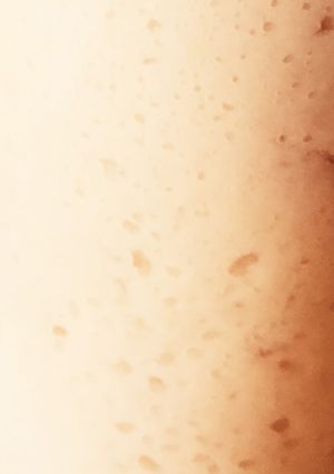 失敗しない、米麹使いでの酒粕酵母液作り-レシピのメイン写真