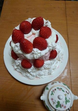 ラ、ランドさんの卵クリスマスケーキ！！！-レシピのメイン写真