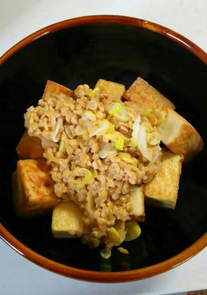 厚揚げのネギ納豆かけ-レシピのメイン写真