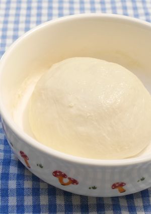 冷蔵発酵　使い切り量の発酵種-レシピのメイン写真