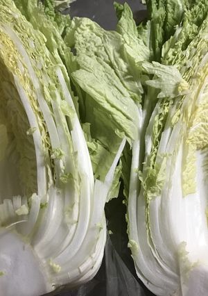 白菜は内側から使ってね！-レシピのメイン写真