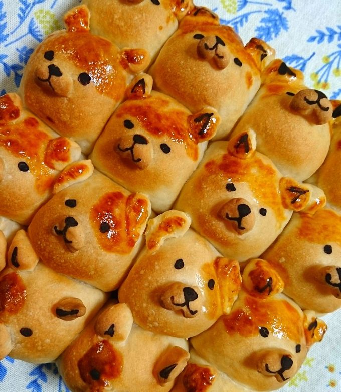 ちぎりパン犬 わんこ by くっく畑 【クックパッド】 簡単おいしい