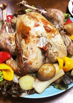 ナイロン袋でクリスマスターキーの丸焼き-レシピのメイン写真