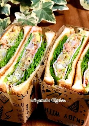 キャベツと鮭フレークのホットサンド風-レシピのメイン写真